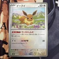 ポケモンカード イーブイ マスターボールミラー