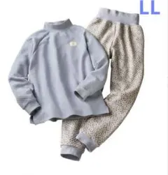 Item thumbnail for item 047605e5-920f-4a15-b7c8-0c53b8a199b7