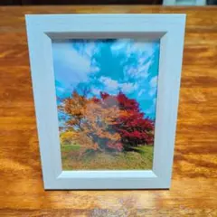 フォトフレーム 写真立て ホワイト 風景写真入り