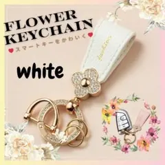 Item thumbnail for item aaa1e0f6-6e79-4bd2-aba9-e88b4fbd415e