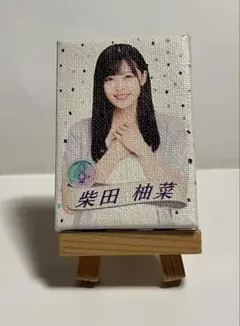 キョロ様 リクエスト 2点 まとめ商品