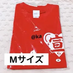 2026年最新】坂井仁香 tシャツの人気アイテム - メルカリ