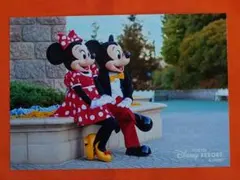 2025年最新】ディズニー スペシャルフォトの人気アイテム - メルカリ