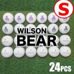 【S60】WILSONBEAR 白 年式混合 ロストボール 24球