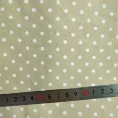 ベージュ系３枚セット♡ストライプ　ドット　マスタード　モカ