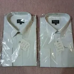 Item thumbnail for item 065aa1fa-4b65-4465-af28-21c528e50bd3