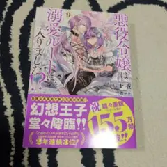 悪役令嬢は溺愛ルートに入りました!?(9)