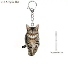 Item thumbnail for item 3ea98eac-ae9c-4bb1-99b6-3f21f0bd876e