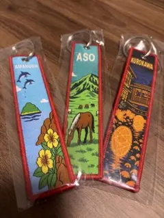 ANA くまモン 熊本空港 フライトタグ 阿蘇 黒川温泉 天草 セット | Mercari