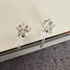 イヤリング♡
