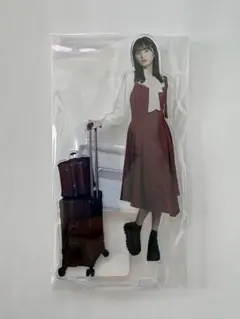 乃木坂46 のぎBOX MVT 賀喜遥香 アクリルスタンド モバカ - メルカリ