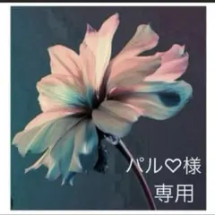 パル様　専用