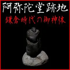 羅本製所 Copiapoa Twin Star 抽選限定品 新品未開封 - メルカリ