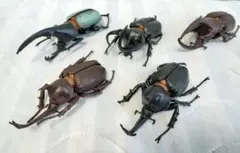 Item thumbnail for item 81bb8e4f-94f0-4a7d-b359-b0198e3be008