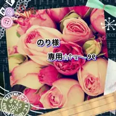 のり 様専用❇️しっかりとした苗‪☆美苗❇️ うちわサボテン✿カット苗ꔛ‬ෆ①