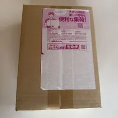 ポケモンカードゲーム　ホワイトフレアデラックス　1BOX シュリンク付き未開封