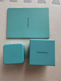 (美品)ティファニー Tiffany&Co. 空箱 指輪ケースフォトアルバム