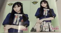 Item thumbnail for item ac9c9623-9871-4174-aebb-afcda0674ea6