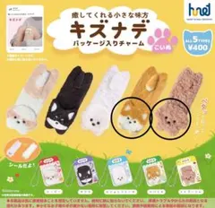 キズナデ パッケージ入りチャーム トイプードル シバイヌ