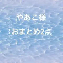 やあこ様 リクエスト 2点 まとめ商品