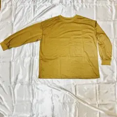 秋冬の重ね着に最適 ブラウン長袖カットソー 無地カジュアル