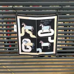 新品同様 エルメス 入手困難 ガヴロッシュ ガルドローブ・デタイユ カレ45