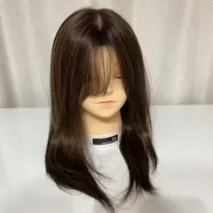 値下げ】kabriカブリウィッグ 人毛100% フルウィッグ Mサイズ - メルカリ