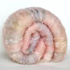 9696Usagiiii様 リクエスト 2点 まとめ商品