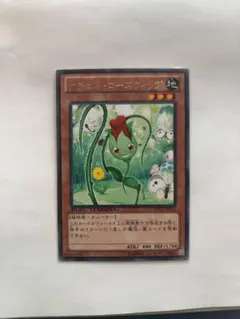 遊戯王 ナチュル・ローズウィップ 字レア DTC2-JP011 2枚セット - メルカリ