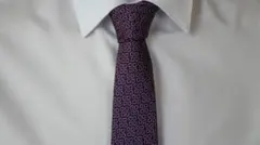 Ermenegildo Zegna ゼニア ネクタイ シルク100% パープル系