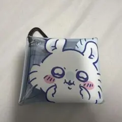ちいかわ　モモンガ　カラビナ付きアクリルケース