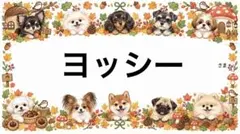 専用