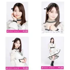 乃木コレ　阪口珠美　乃木坂46 生写真
