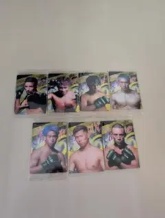 RIZINウエハース カード 8枚セット