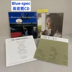 Item thumbnail for item d94b3c1c-c8af-46f2-8e58-3f3f551a345f