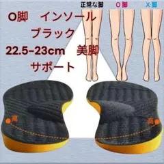 Item thumbnail for item b37f8320-53aa-408b-a0f0-03294ed3642c