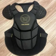 Item thumbnail for item 737c0b37-9412-4e96-b0d4-020b9e4c0949