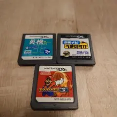 ニンテンドーDS ゲーム3本セット