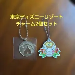 東京ディズニーリゾート チャーム2個セットのサムネイル