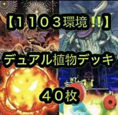 遊戯王【１１０３環境‼️】デュアル植物40枚のサムネイル
