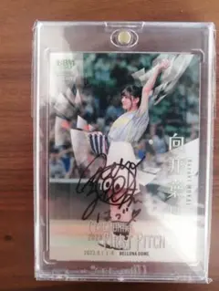 2026年最新】向井葉月 直筆の人気アイテム - メルカリ