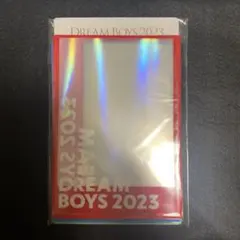 【最安値】DREAM BOYS 2023 スリーブ