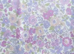 Item thumbnail for item 165da5c6-03e7-4a89-a4a5-c94571a9a6d0