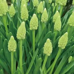 Hana様 リクエスト 2点 まとめ商品