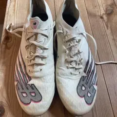 Item thumbnail for item e641a05b-d74c-4cce-bef4-cd4d15e6ceca