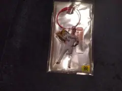 木浪選手 優勝記念 ワイヤーリングアクリルキーホルダー