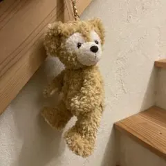 クマ型ファスナー付きポーチ ベージュ