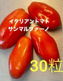 もちもち様 リクエスト 2点 まとめ商品