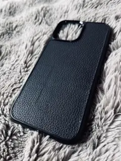 Moshi Germanshrinkケース iphone13 proMAX用