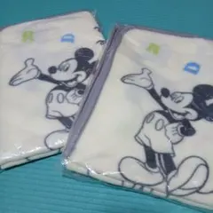 Item thumbnail for item 694ac28f-bda5-436d-8e03-4cc7acaf796d